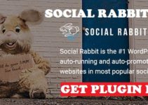 Social Rabbit Plugin Review